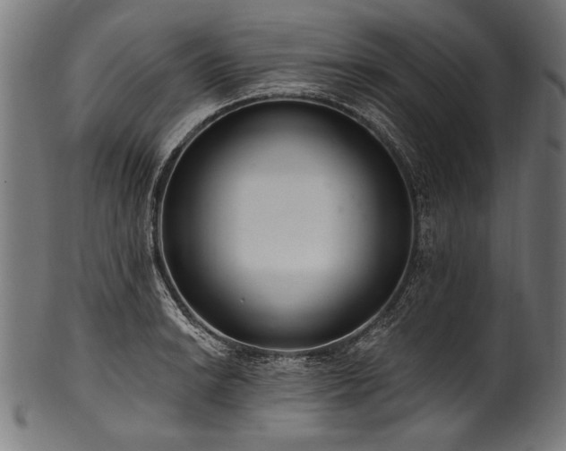 X0000100961038200806241522