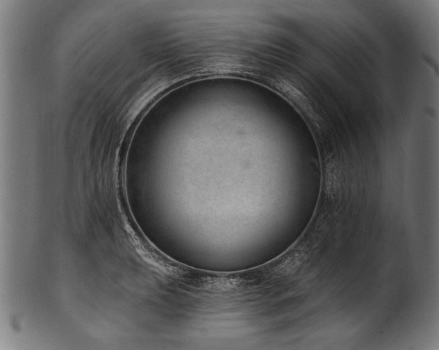 X0000100961039200806241522