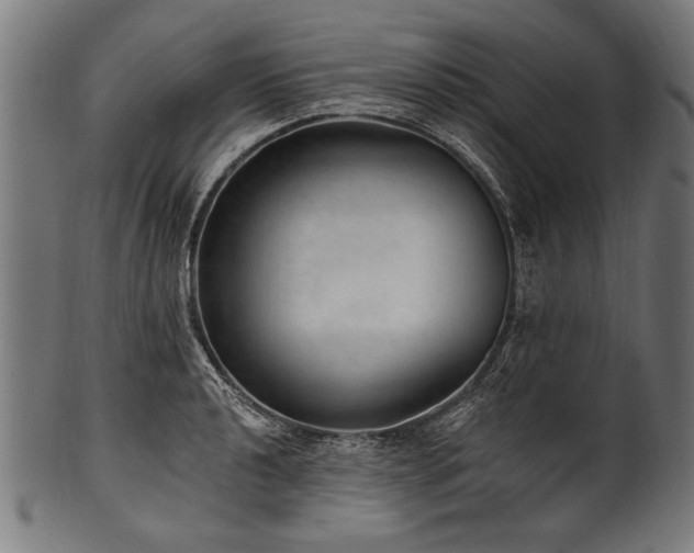 X0000100961040200806241522