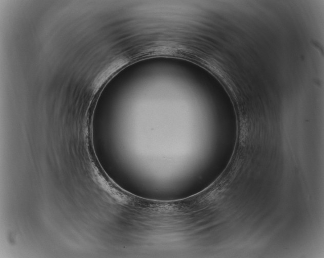X0000100961042200806241522
