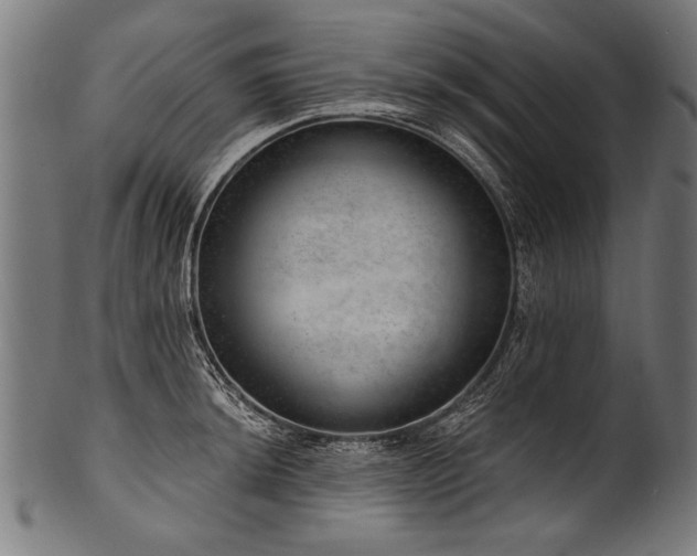 X0000100961044200806241522