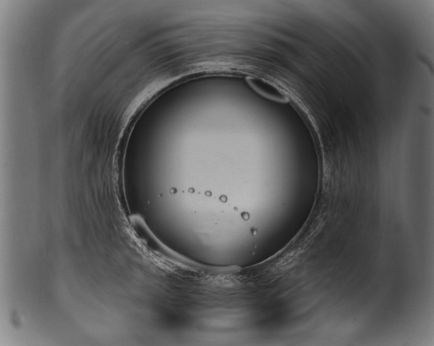X0000100961045200806241522