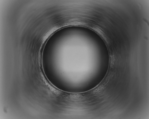 X0000100961046200806241522