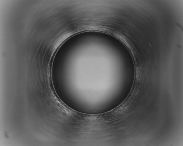 X0000100961048200806241522