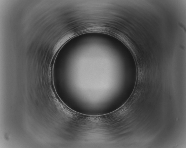 X0000100961050200806241522