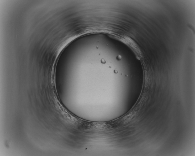 X0000100961052200806241522