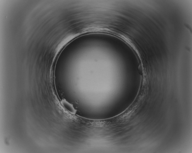 X0000100961053200806241523