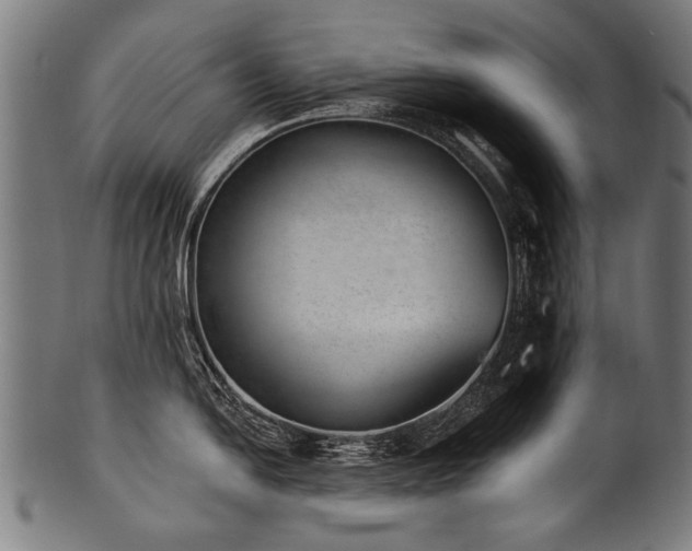 X0000100961054200806241523
