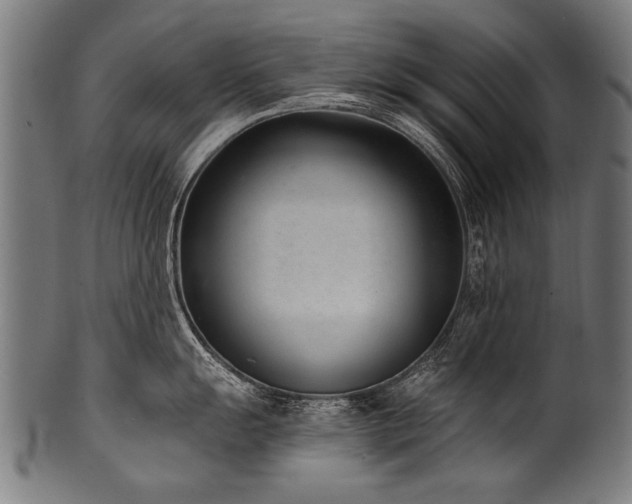 X0000100961055200806241523