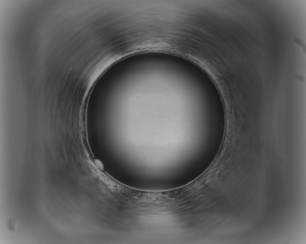 X0000100961056200806241523