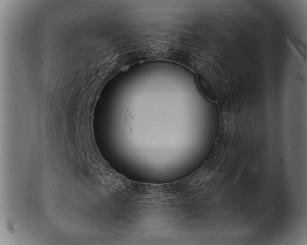 X0000100961057200806241522