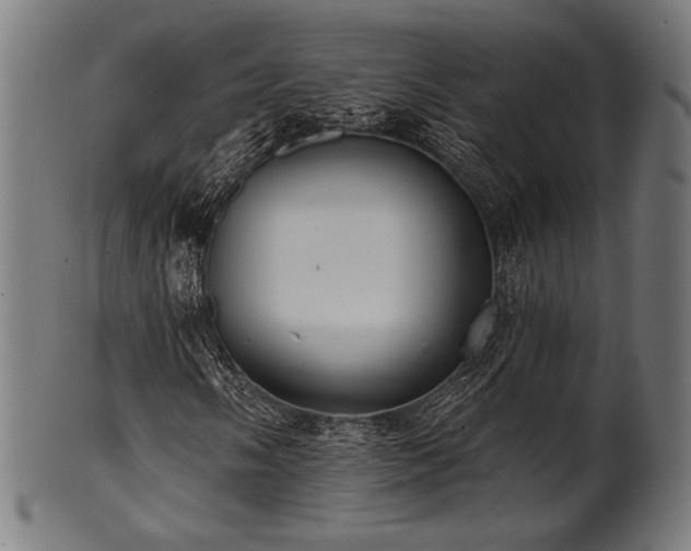 X0000100961058200806241522