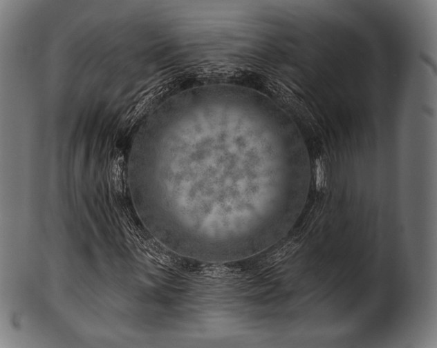 X0000100961059200806241522