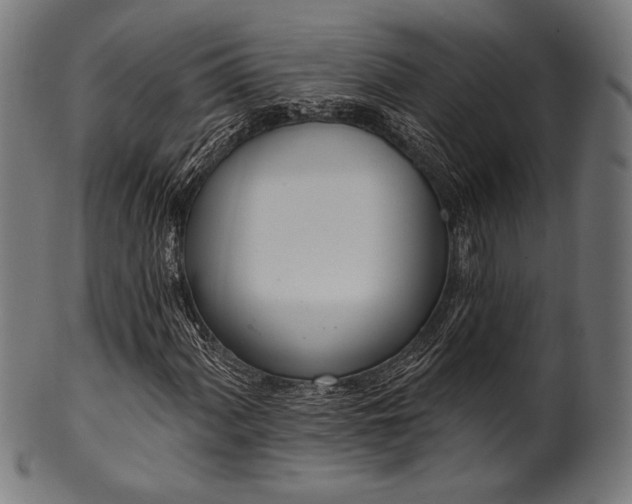 X0000100961060200806241522