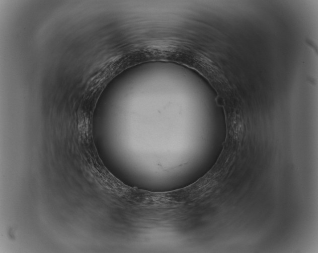 X0000100961061200806241522