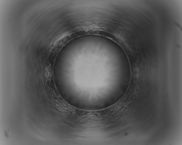 X0000100961063200806241522