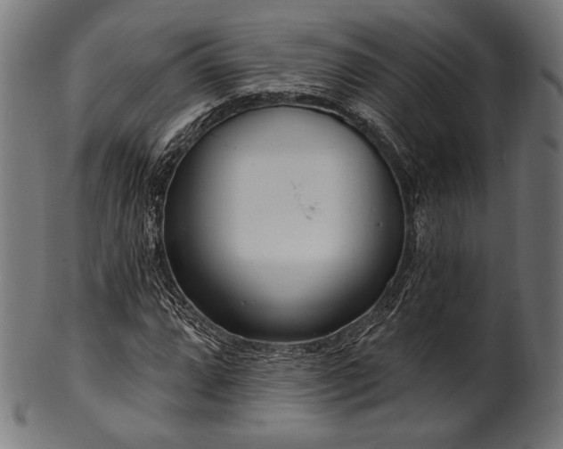 X0000100961064200806241522
