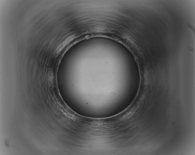 X0000100961065200806241522