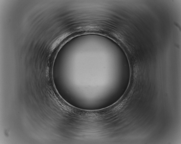 X0000100961066200806241522