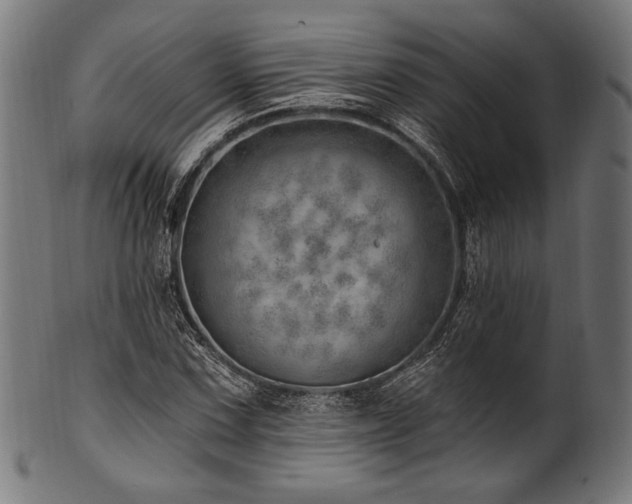 X0000100961067200806241522