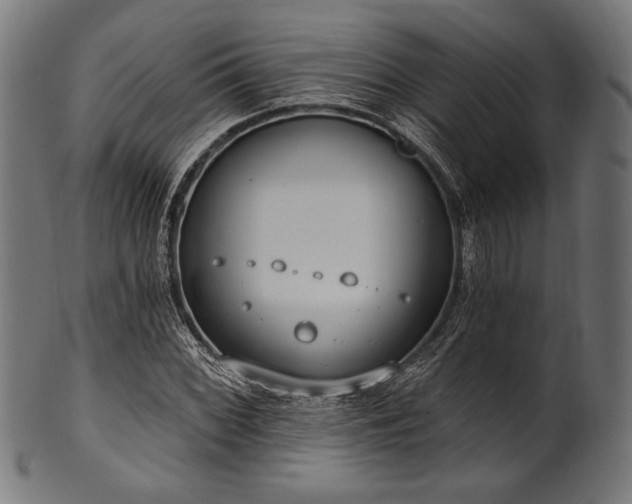X0000100961068200806241522