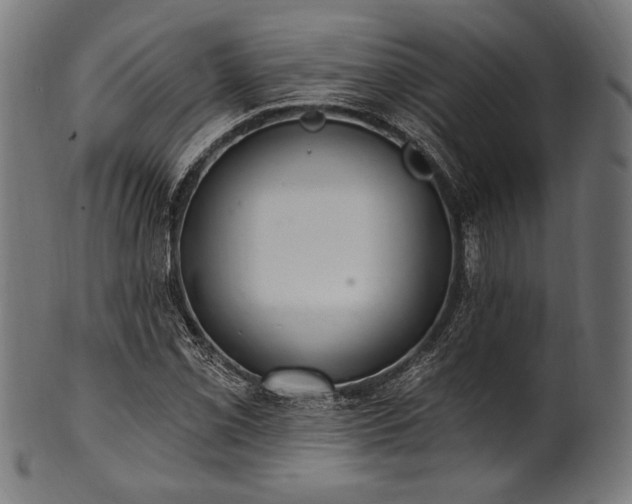 X0000100961069200806241522