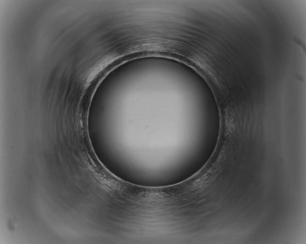 X0000100961070200806241522