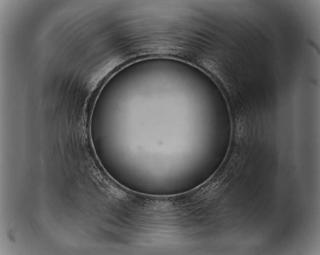 X0000100961071200806241522