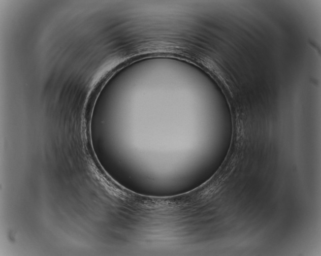 X0000100961072200806241522