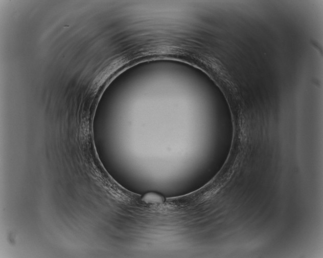 X0000100961073200806241522