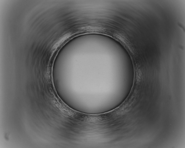 X0000100961074200806241522