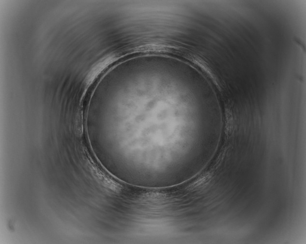 X0000100961075200806241522