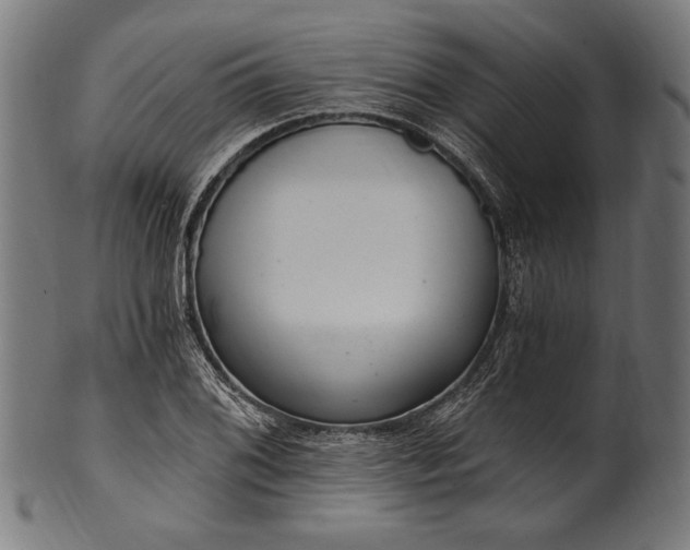 X0000100961076200806241522