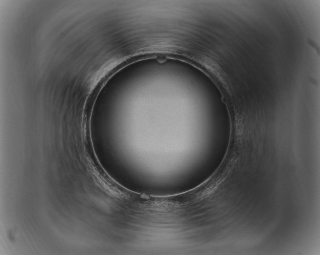 X0000100961077200806241522