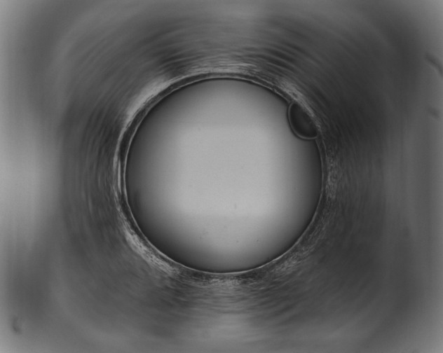 X0000100961080200806241521
