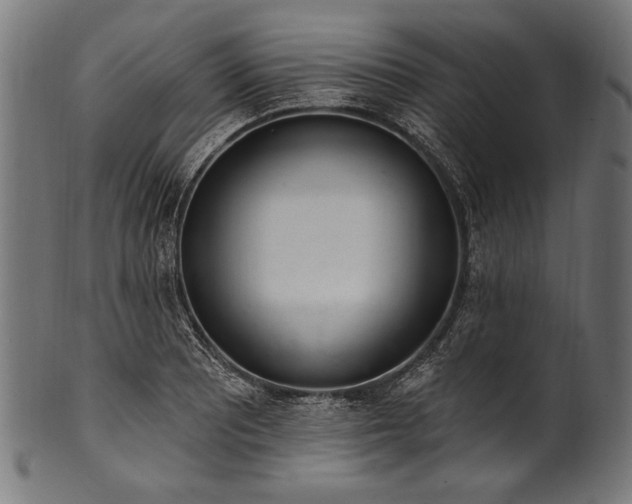 X0000100961081200806241521