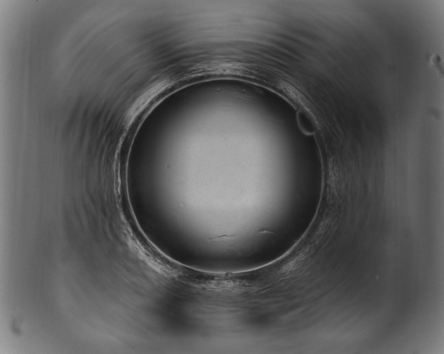 X0000100961082200806241521