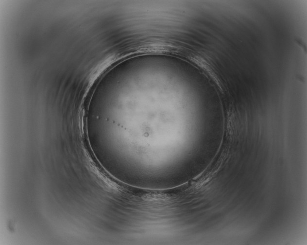 X0000100961083200806241521