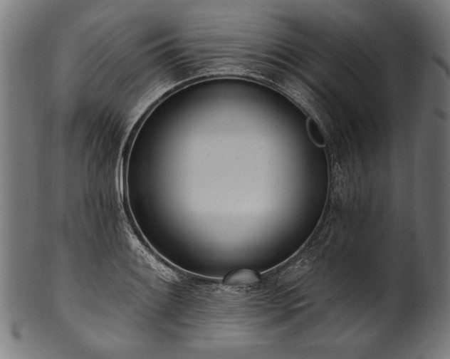 X0000100961084200806241521