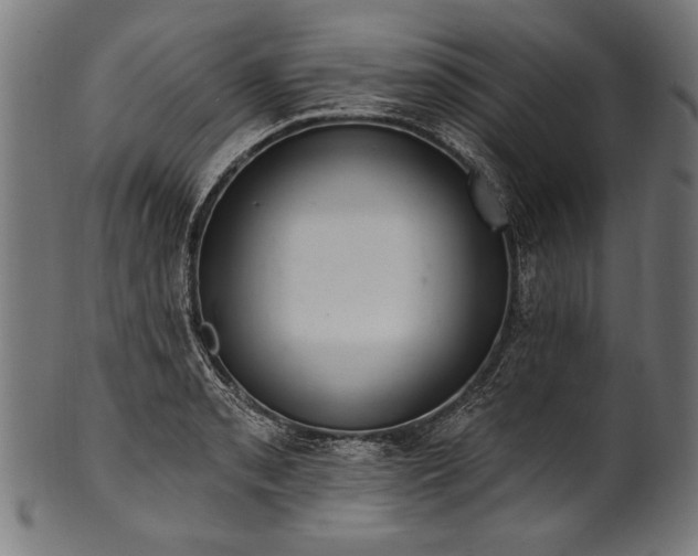X0000100961085200806241521