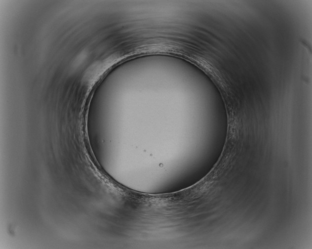 X0000100961086200806241521