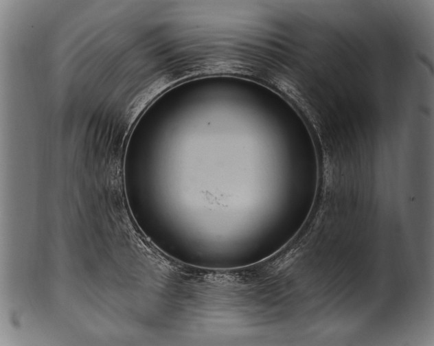 X0000100961089200806241521