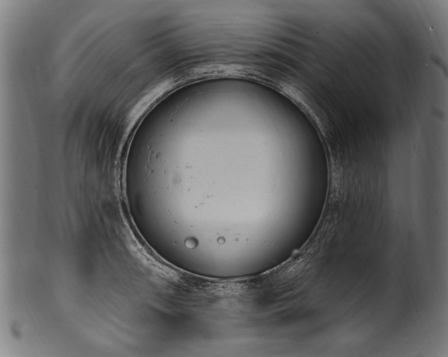 X0000100961090200806241521