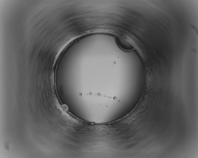 X0000100961092200806241521