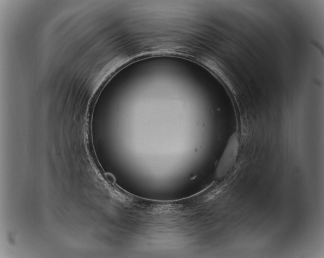 X0000100961093200806241521