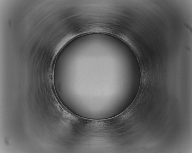 X0000100961094200806241521