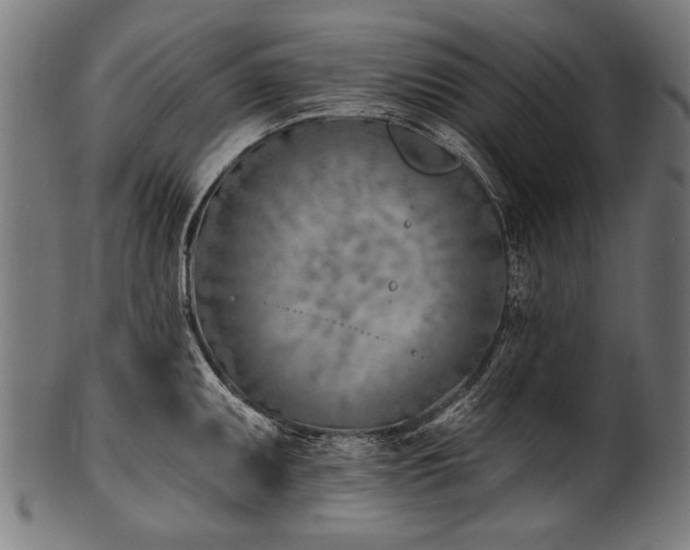 X0000100961095200806241521