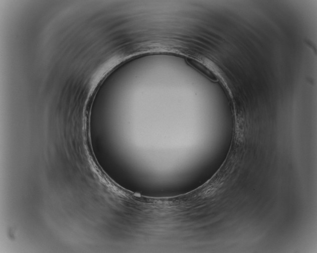 X0000100961096200806241521