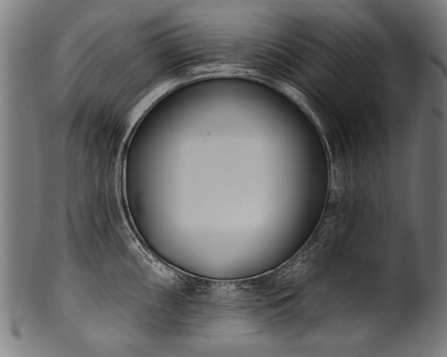 X0000100961098200806241521