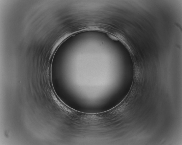 X0000100961100200806241521